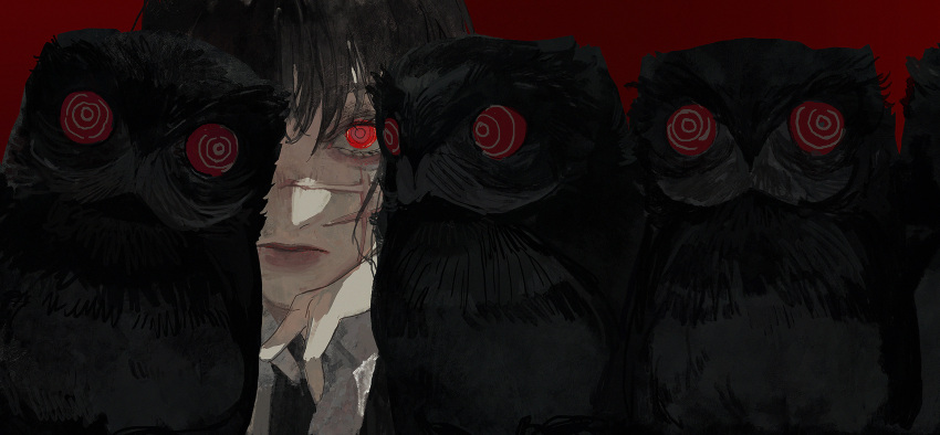 1girl, bird, black_hair, blunt_bangs, chainsaw_man, close-up, commentary, dark_background