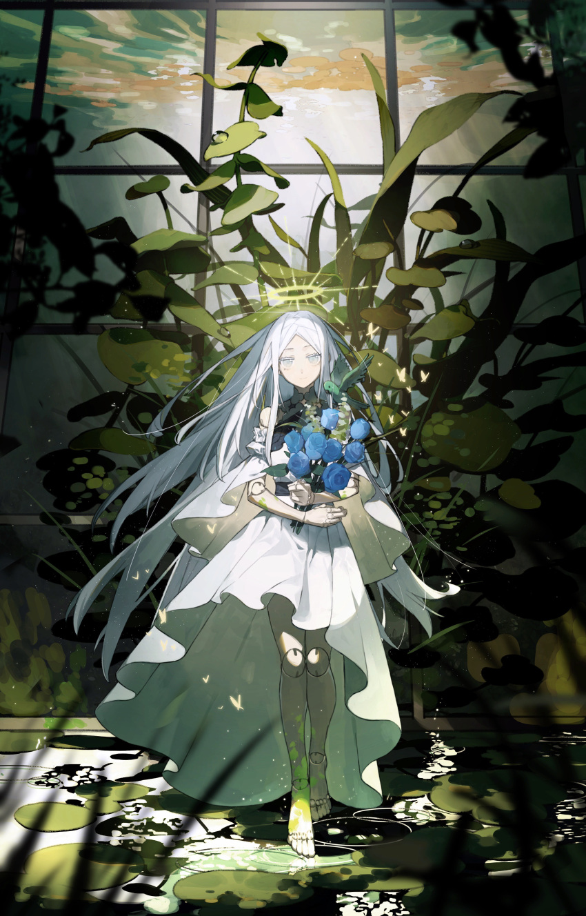 1girl, absurdres, aqua_bird, bare_legs, bare_shoulders, barefoot, bird, black_collar, blue_flower, blue_rose, bouquet, bug, butterfly, closed_mouth, clouds, cloudy_sky, collar, colored_eyelashes, day, detached_sleeves, doll_joints, dress, flower, frilled_sleeves, frills, full_body, glowing, greenhouse, halo, halter_dress, halterneck, highres, holding, holding_bouquet, indoors, joints, lily_pad, long_dress, long_hair, looking_at_viewer, mokuroh, original, petals, plant, rose, short_sleeves, sky, smile, solo, standing, standing_on_liquid, straight-on, sunlight, very_long_hair, white_dress, white_eyes, white_hair, white_sleeves, yellow_halo