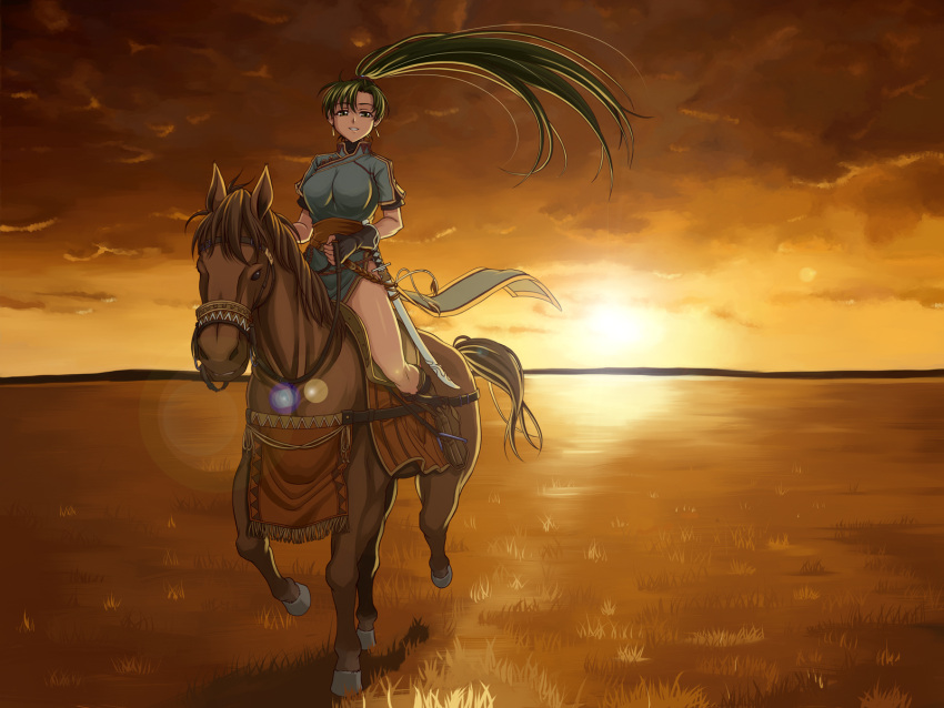 1girl, animal, fingerless_gloves, fire_emblem, fire_emblem:_rekka_no_ken, gloves, green_eyes, green_hair