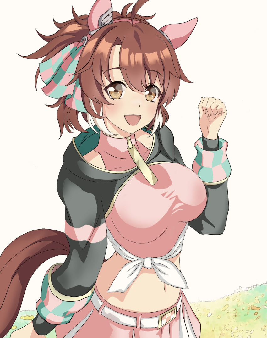 1girl, ahoge, animal_ears, belt, blush, breasts, brown_eyes, brown_hair