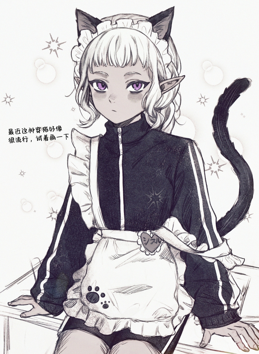 1boy, absurdres, alternate_costume, androgynous, animal_ears, apron, arm_support, black_jacket, black_shorts, cat_boy, cat_ears, cat_tail, chinese_commentary, chinese_text, commentary_request, cowboy_shot, dungeon_meshi, elf, expressionless, frilled_apron, frills, highres, jacket, kemonomimi_mode, limited_palette, long_sleeves, looking_at_viewer, maid_apron, maid_headdress, male_focus, navia84789947, otoko_no_ko, paw_print, pointy_ears, short_bangs, short_hair, shorts, sitting, solo, strap_slip, tail, thistle_(dungeon_meshi), track_jacket, translation_request, violet_eyes, white_apron, white_background, white_hair, zipper