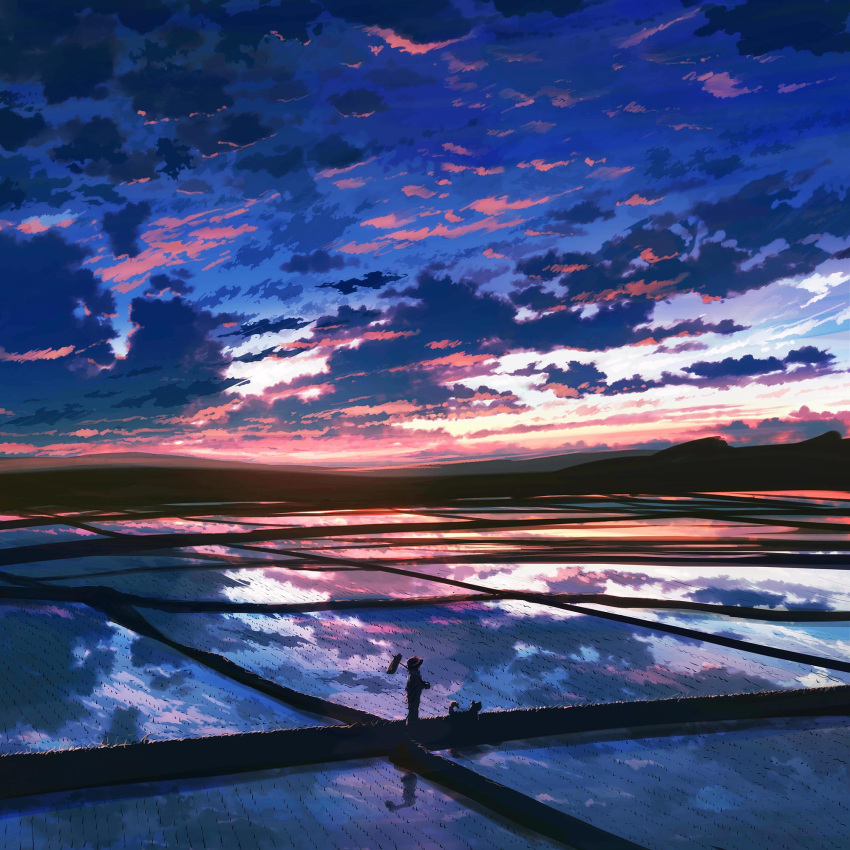 cloud, clouds, dog, field, highres, original, reflection, rice_paddy