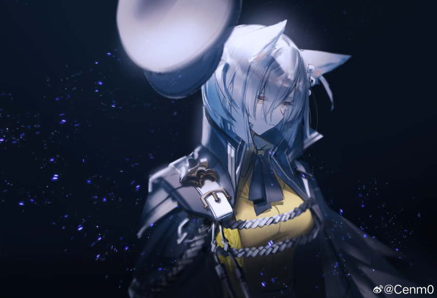 1girl, absurdres, aiguillette, animal_ears, arknights, arms_at_sides, ascot, black_ascot