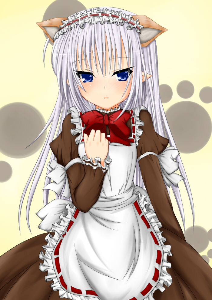 blue_eyes, cat_ears, long_hair, maid, pointy_ears, primula, shuffle!, silver_hair, t_(dyuhuhudyukusi)