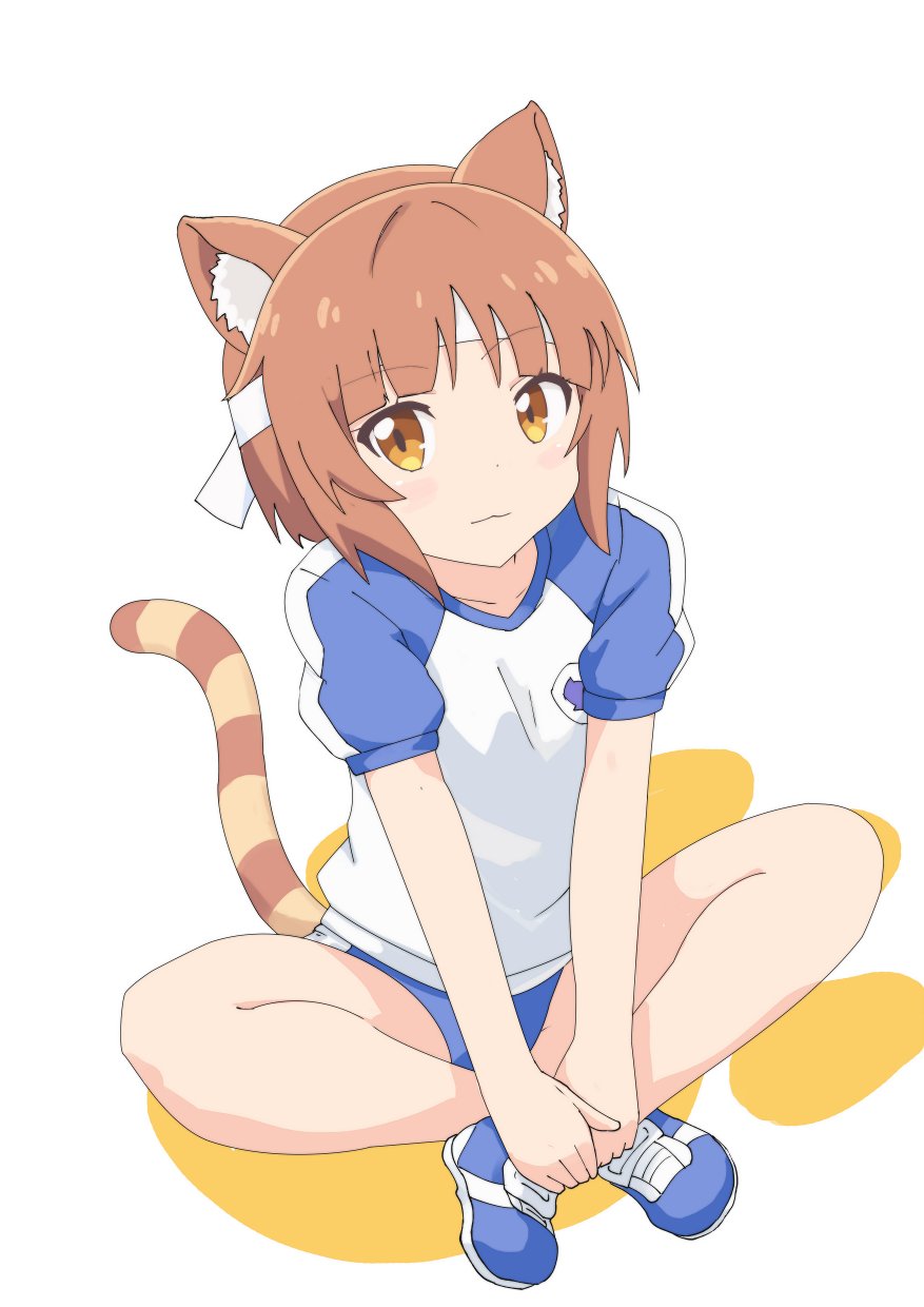 1girl, :3, animal_ear_fluff, animal_ears, azuki_(nekopara), blue_buruma, blue_footwear, blue_sleeves