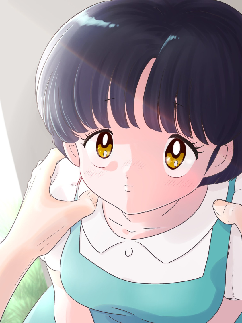 1girl, against_wall, amber_eyes, black_hair, breasts, fuurinkan_high_school_uniform, grass, highres
