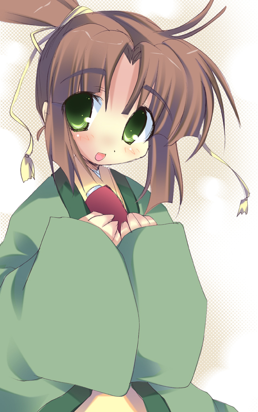 chinese_clothes, chiriko, chiriko_(fushigi_yuugi), fushigi_yuugi, green_eyes, high_ponytail, long_hair, male