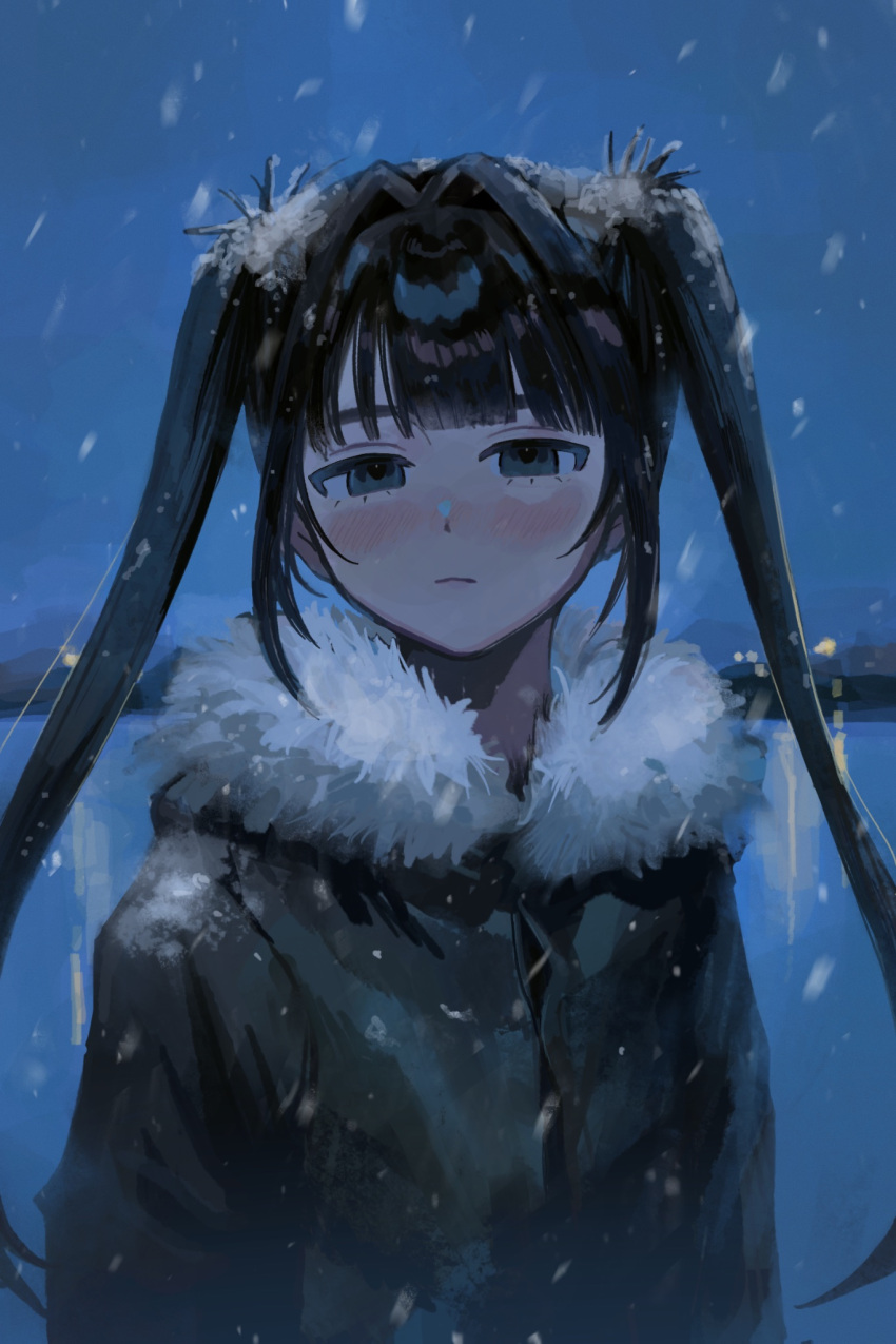 1girl, arms_at_sides, black_eyes, black_hair, blush, closed_mouth, fur-trimmed_jacket, fur_trim