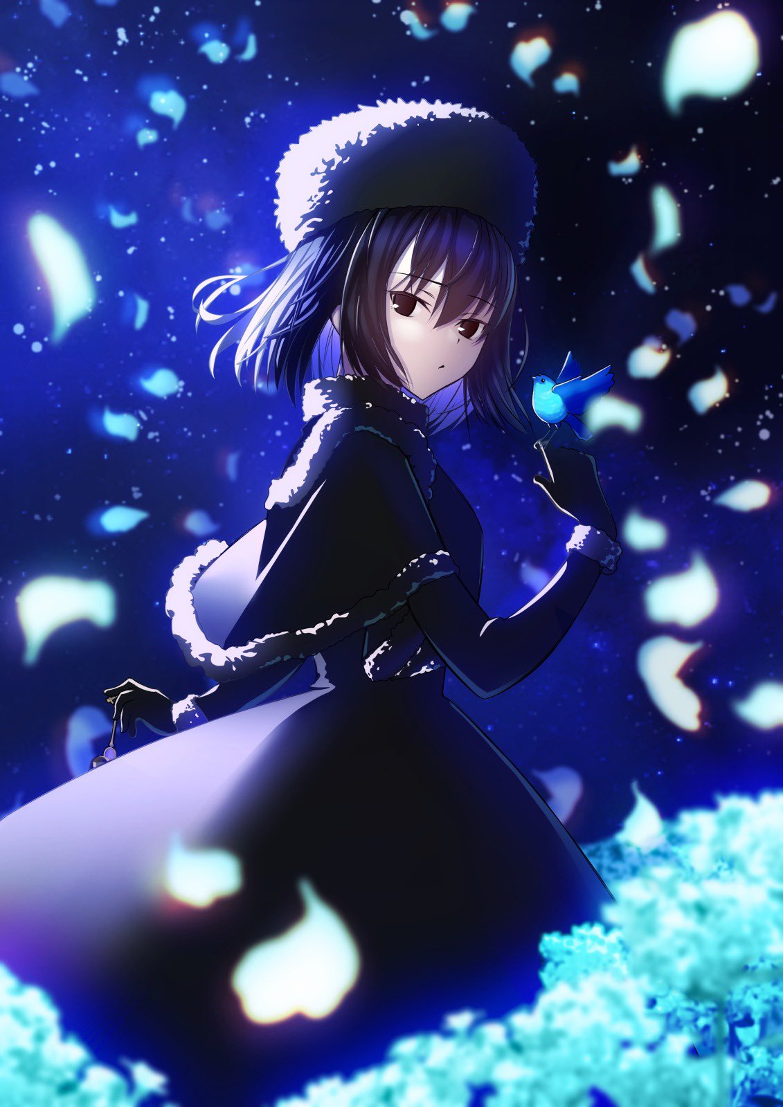 bird, black_cape, black_dress, black_eyes, black_gloves, black_hair, blue_bird, blue_hair, cape, closed_mouth, dress, flower, fujinari_ibuki, fur_trim, gloves, highres, kuonji_alice, long_sleeves, looking_at_viewer, mahou_tsukai_no_yoru, night, night_sky, short_hair, sky