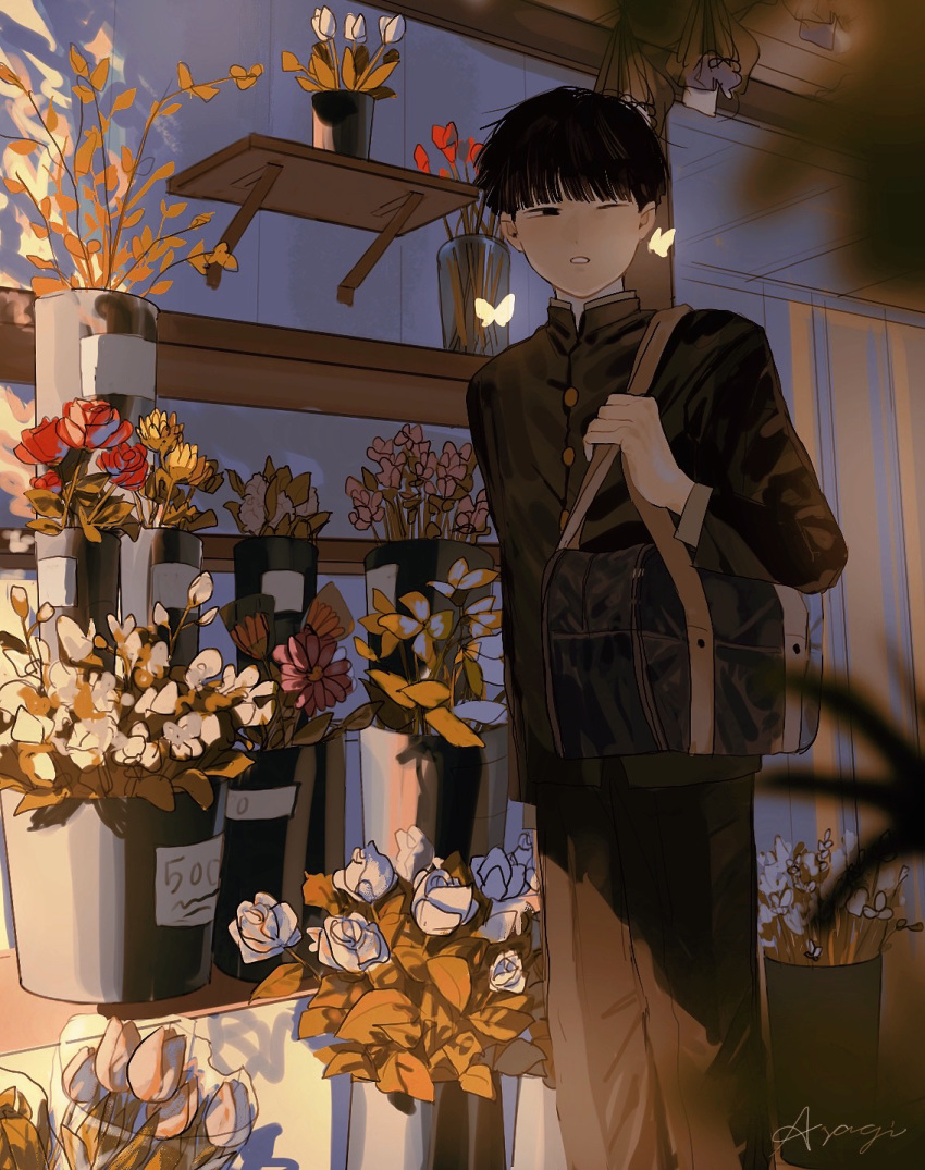 1boy, asagi_(0w0), bag, black_hair, black_pants, blunt_bangs, bob_cut, bug