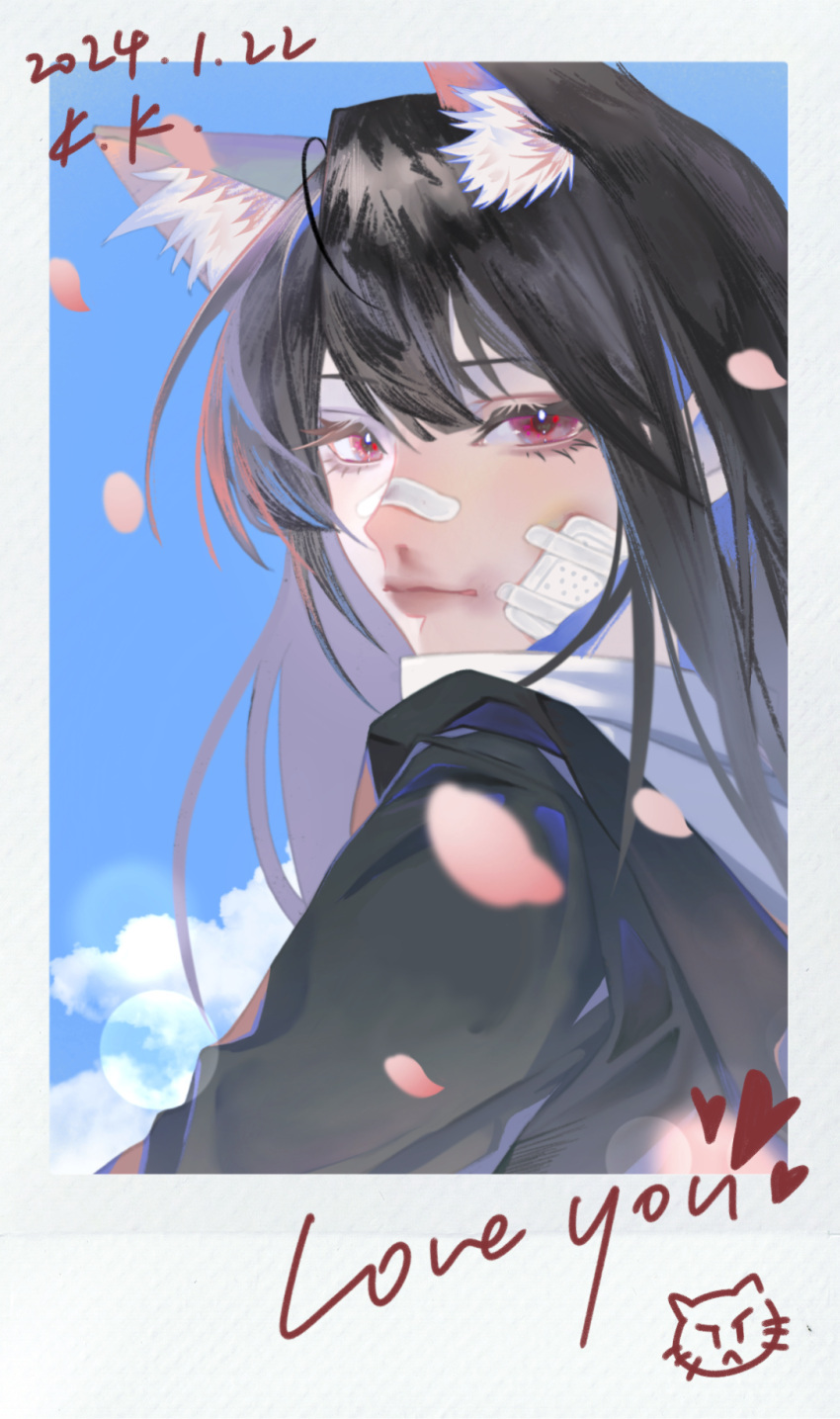 1girl, animal_ear_fluff, bandaid, bandaid_on_face, bandaid_on_nose, black_hair, black_shirt, blue_sky, bruise, bruise_on_face, cat_girl, chaoji_shuihouzi, character_name, chinese_commentary, clouds, commentary, dated, doodle_inset, english_text, falling_petals, highres, injury, k.k._(path_to_nowhere), lens_flare, long_hair, looking_at_viewer, looking_back, path_to_nowhere, petals, pink_petals, polaroid, portrait, red_eyes, shirt, sky, solo