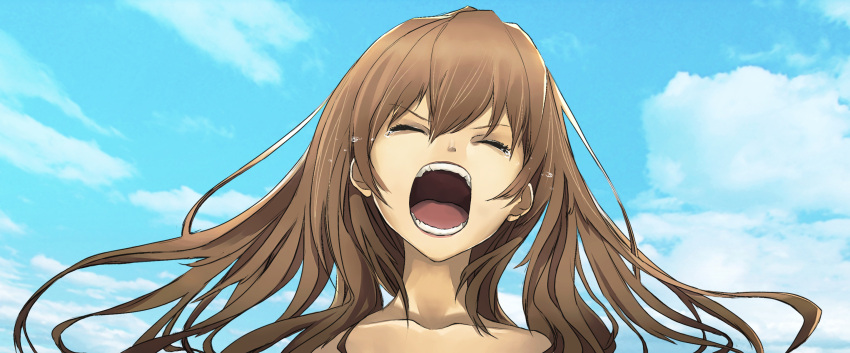 absurdres, brown_hair, closed_eyes, highres, litlicha, long_hair, screaming, tears