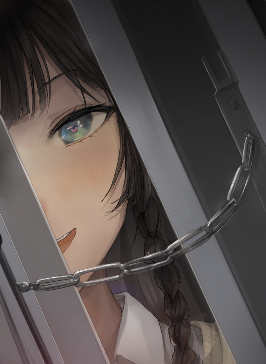 1girl, absurdres, blue_eyes, braid, brown_hair, cardigan, chan1moon, collared_shirt