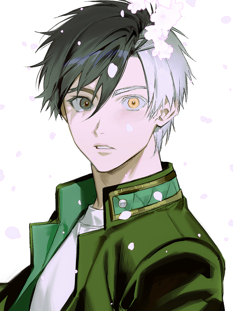 1boy, 77ho, black_hair, cherry_blossoms, falling_petals, green_jacket, heterochromia, jacket