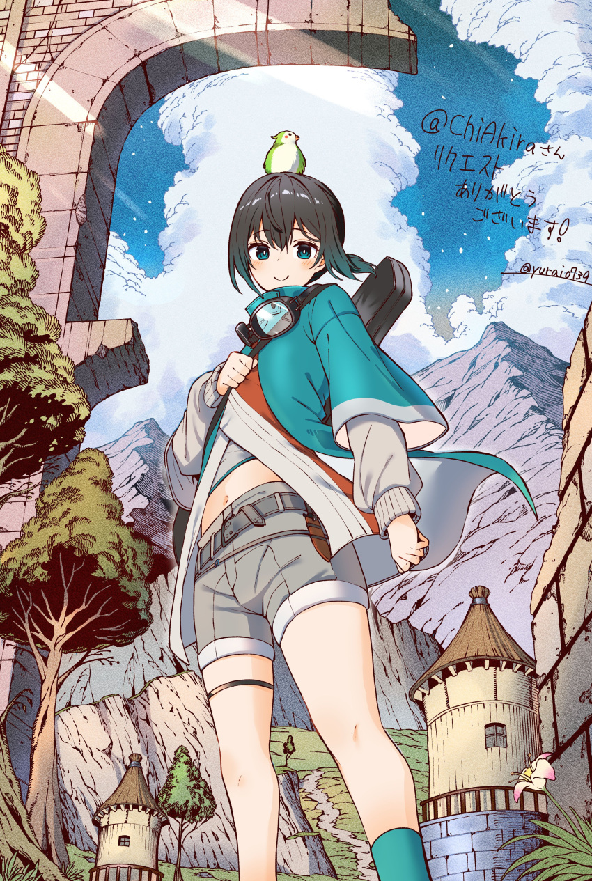 1girl, absurdres, androgynous, animal_on_head, ankle_socks, aqua_coat, aqua_eyes, aqua_hair
