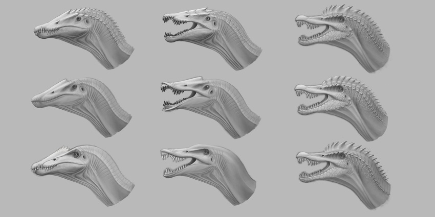 animal, animal_focus, art_study, buccal_flap, commentary, concept_art, conical_teeth, english_commentary