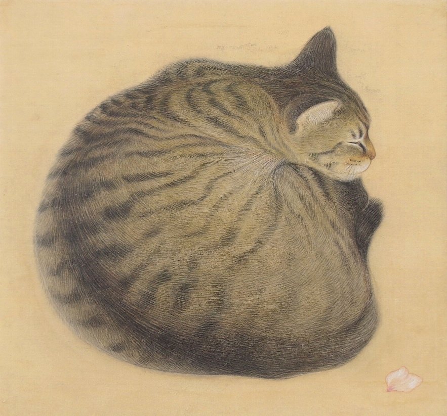 animal, animal_focus, cat, closed_eyes, closed_mouth, dorodangobonta, looking_at_object, no_humans, original, petals, sitting, sleeping, whiskers, yellow_background