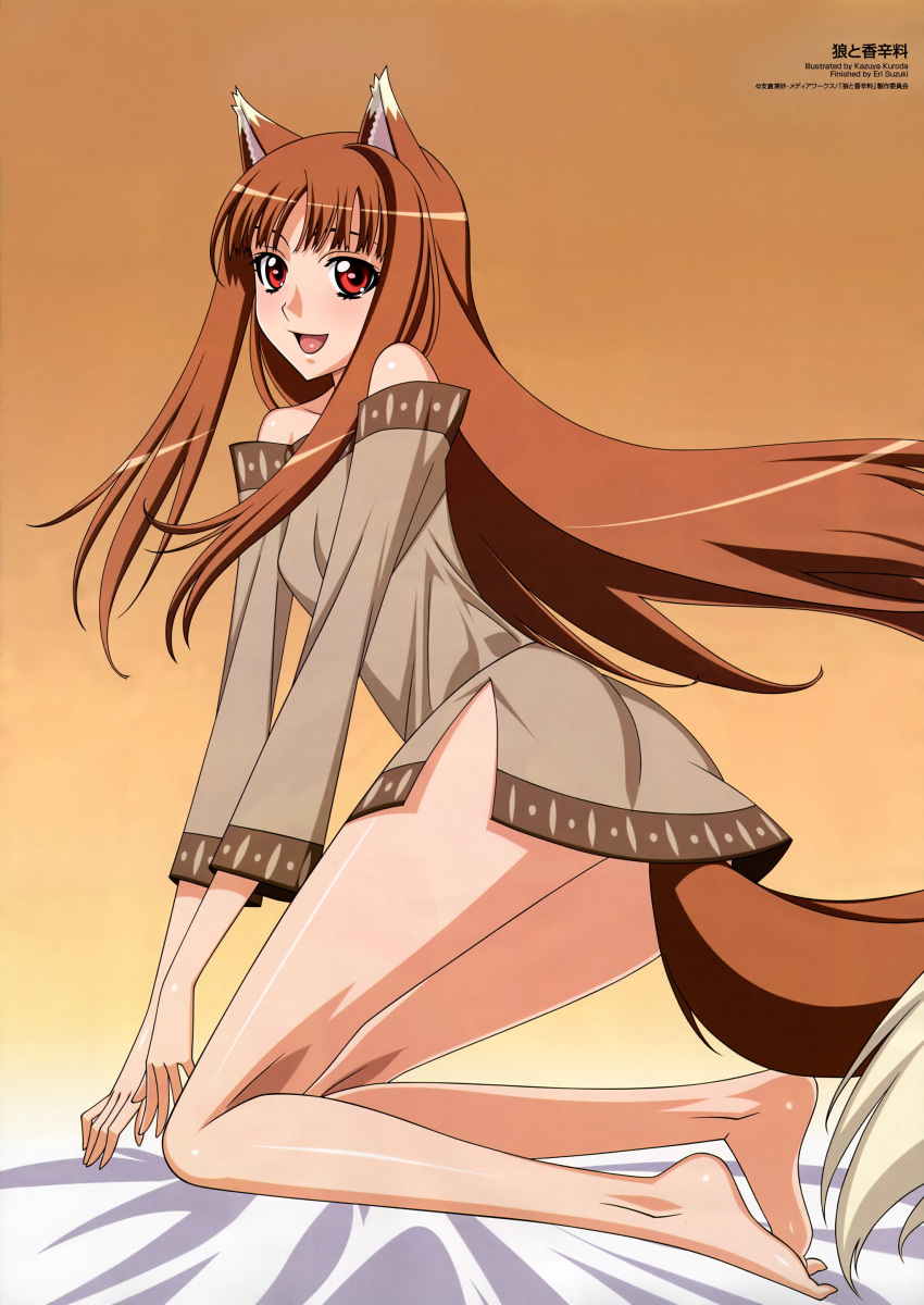 animal_ears, bare_shoulders, barefoot, blush, bottomless, brown_hair, highres, holo