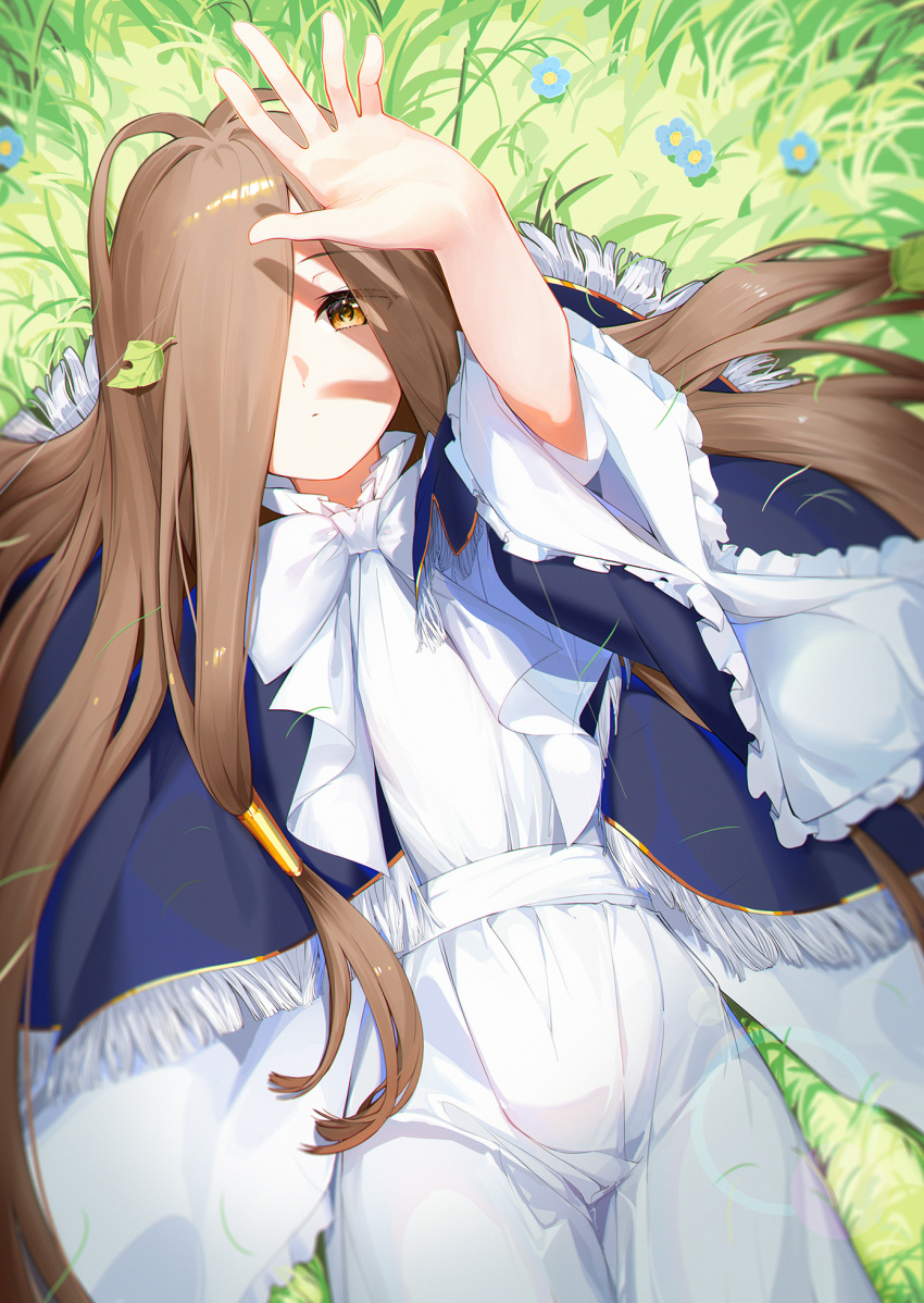 1girl, blue_capelet, blue_flower, bow, brown_eyes, brown_hair, capelet, commentary_request