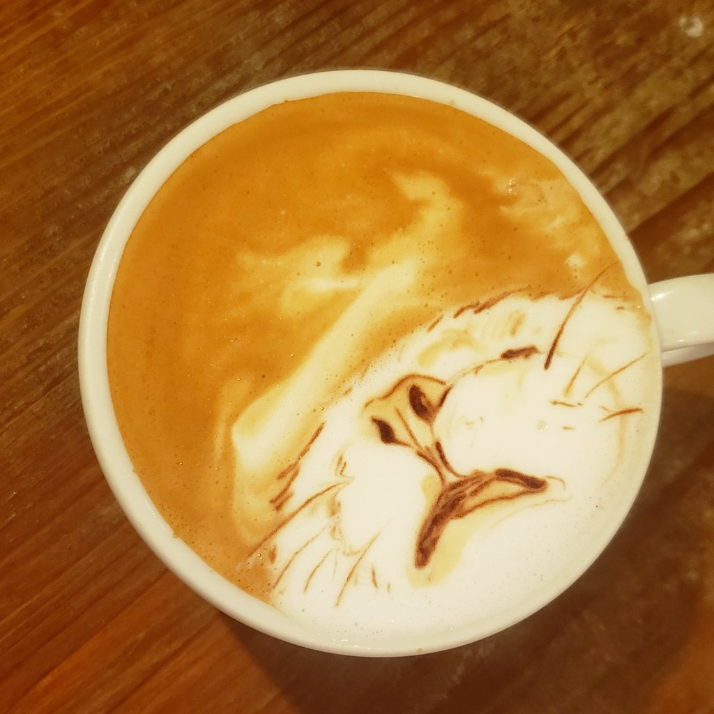 animal, animal_focus, cat, close-up, closed_eyes, coffee, cup, drink, george_(yamamoto_kazuki), latte_art, latte_art_(medium), no_humans, original, photo_(medium), solo, unconventional_media