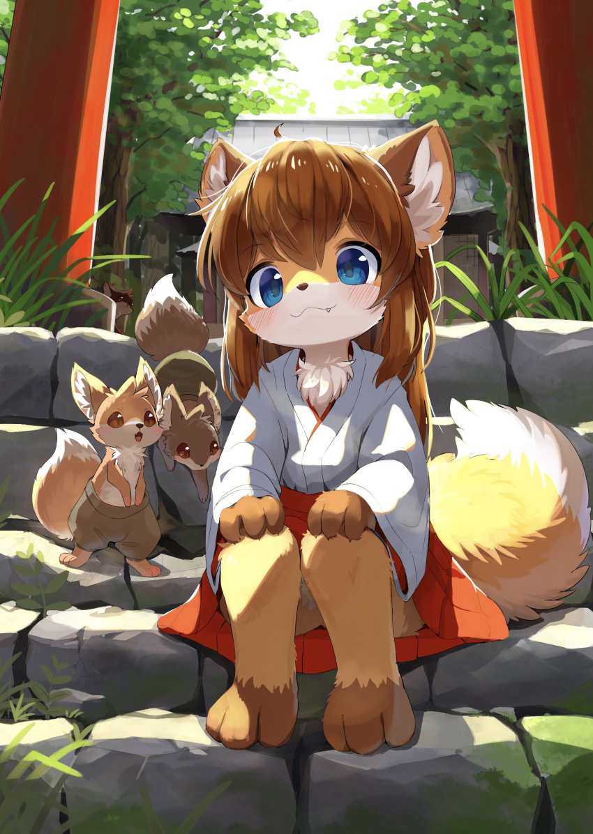 1girl, absurdres, animal, animal_ear_fluff, animal_ears, animal_nose, blue_eyes, blush, body_fur, brown_hair, closed_mouth, day, fang, fewer_digits, fox, fox_ears, fox_girl, fox_tail, furry, furry_female, grass, hands_on_own_knees, highres, japanese_clothes, looking_at_viewer, miko, multicolored_fur, original, red_skirt, shrine, sitting, skirt, smile, solo, squirrel, stairs, tail, tareme, thematy, torii, tree