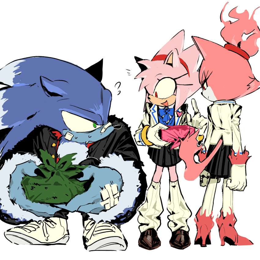 1boy, 2girls, absurdres, amy_rose, animal_ears, blaze_the_cat, blue_fur, burning_blaze