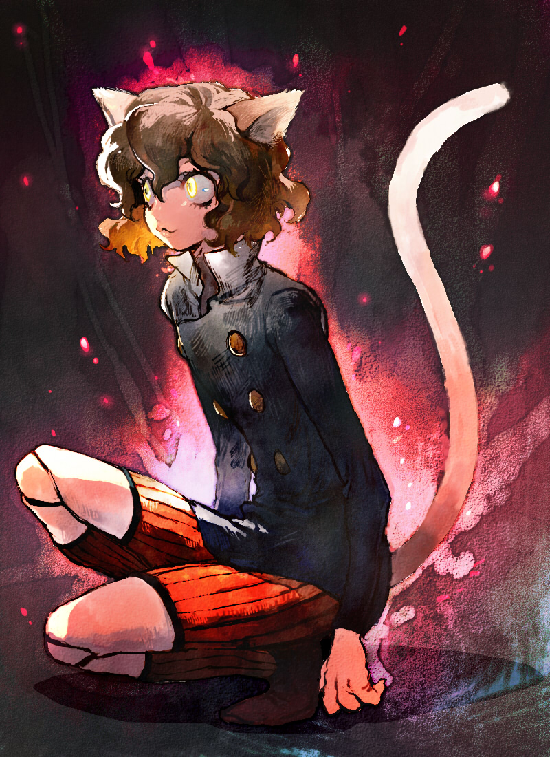 aoki, cat_ears, doll_joints, hunter_x_hunter, kankeenaihito, nefelpitou, short_hair, tail, trap, yellow_eyes