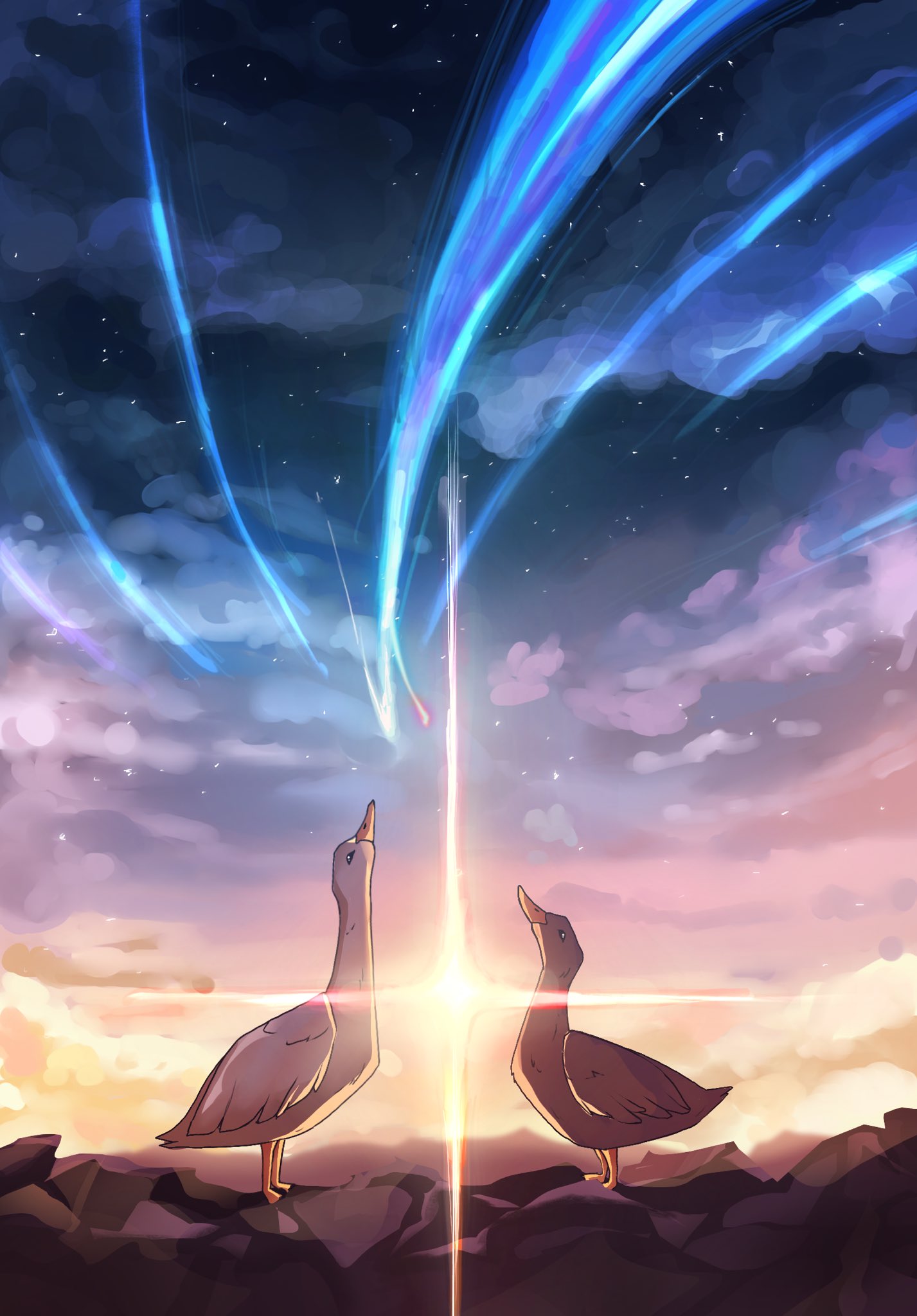 animal, animal_focus, bird, clouds, commentary, duck, ducks_looking_up_at_a_meteor_(meme), english_commentary, from_side, highres, kimi_no_na_wa., mayrayvt, meme, meteor, multicolored_sky, night, night_sky, no_humans, original, outdoors, parody, rock, scene_reference, scenery, sky, star_(sky), starry_sky, sunset, wide_shot