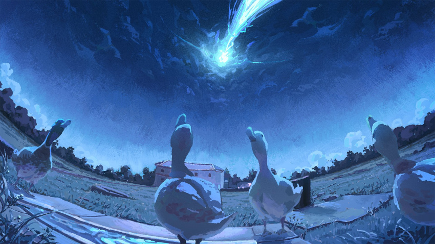 animal, animal_focus, bird, blue_sky, building, clouds, commentary, duck, ducks_looking_up_at_a_meteor_(meme), english_commentary, fisheye, grass, highres, house, meme, meteor, night, night_sky, no_humans, orenji_(orenjikunart), original, outdoors, scenery, sky
