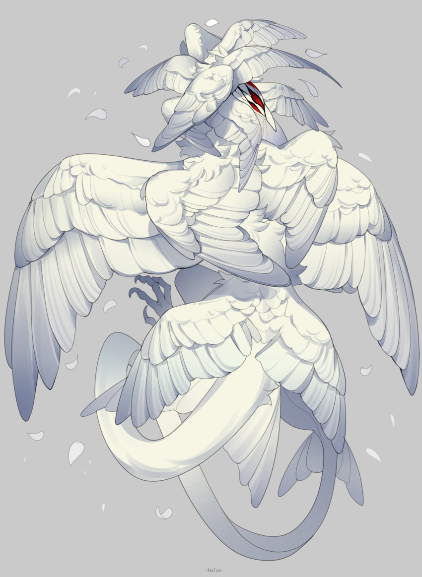 absurdres, animal_focus, bird_wings, claws, covered_face, falling_petals, feathered_wings, from_behind