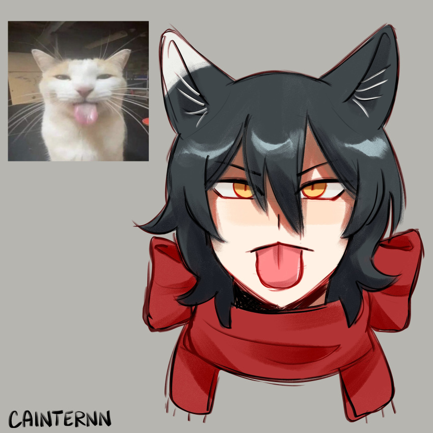 absurdres, animal_ears, black_hair, cainternn, cat, cat_ears, cat_girl, dungeon_meshi
