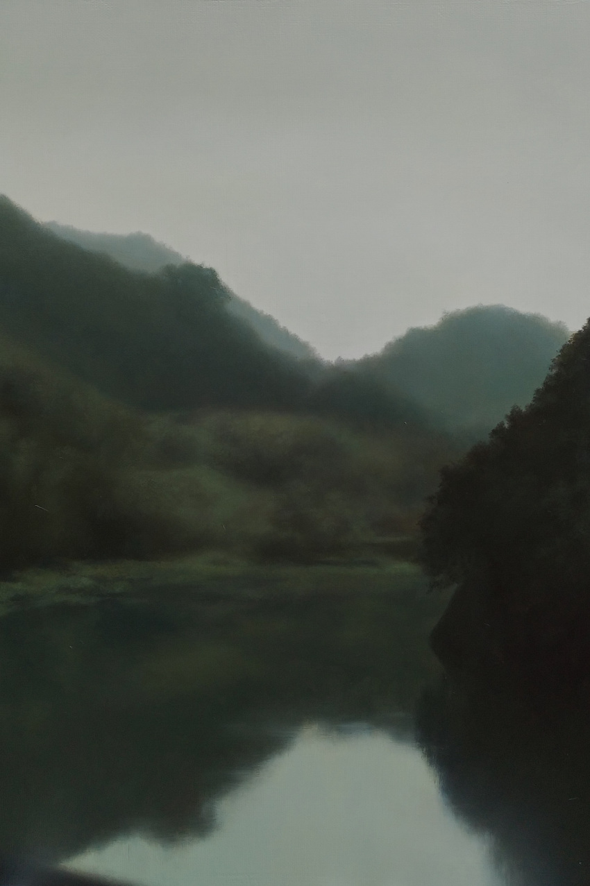absurdres, bush, fog, grass, grey_sky, highres, hill, no_humans