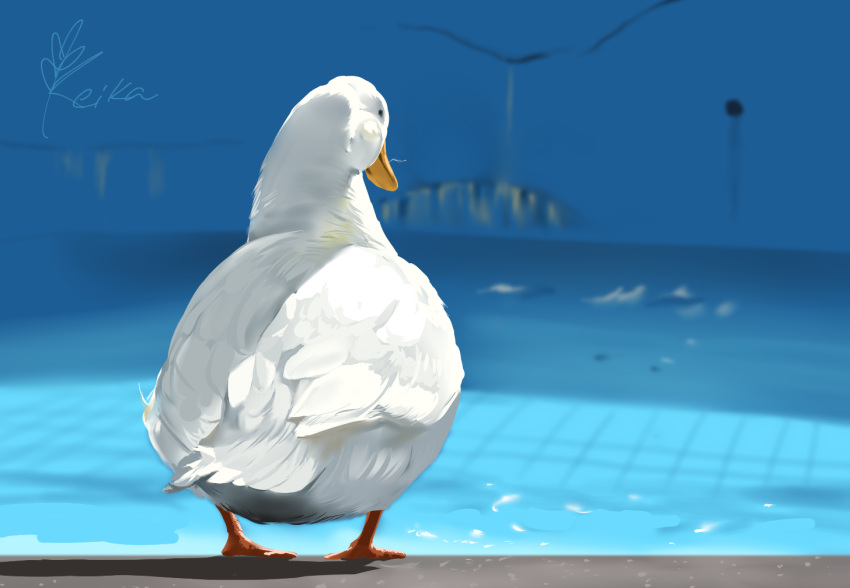 animal, animal_focus, bird, black_eyes, closed_mouth, commentary_request, duck, facing_away, full_body, izumi_keika, no_humans, original, outdoors, pool, realistic, signature, solo, standing