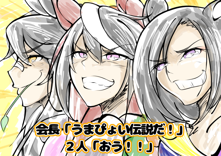 3girls, air_groove_(umamusume), animal_ears, bandaid, bandaid_on_face, bandaid_on_nose, black_hair, brown_hair