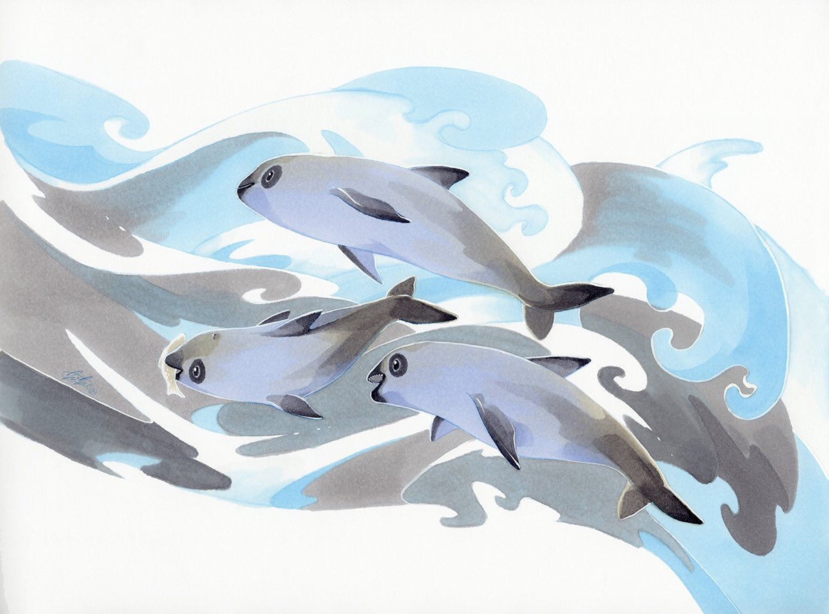 3others, animal, animal_focus, black_eyes, colored_extremities, fins, fish, fish_in_mouth