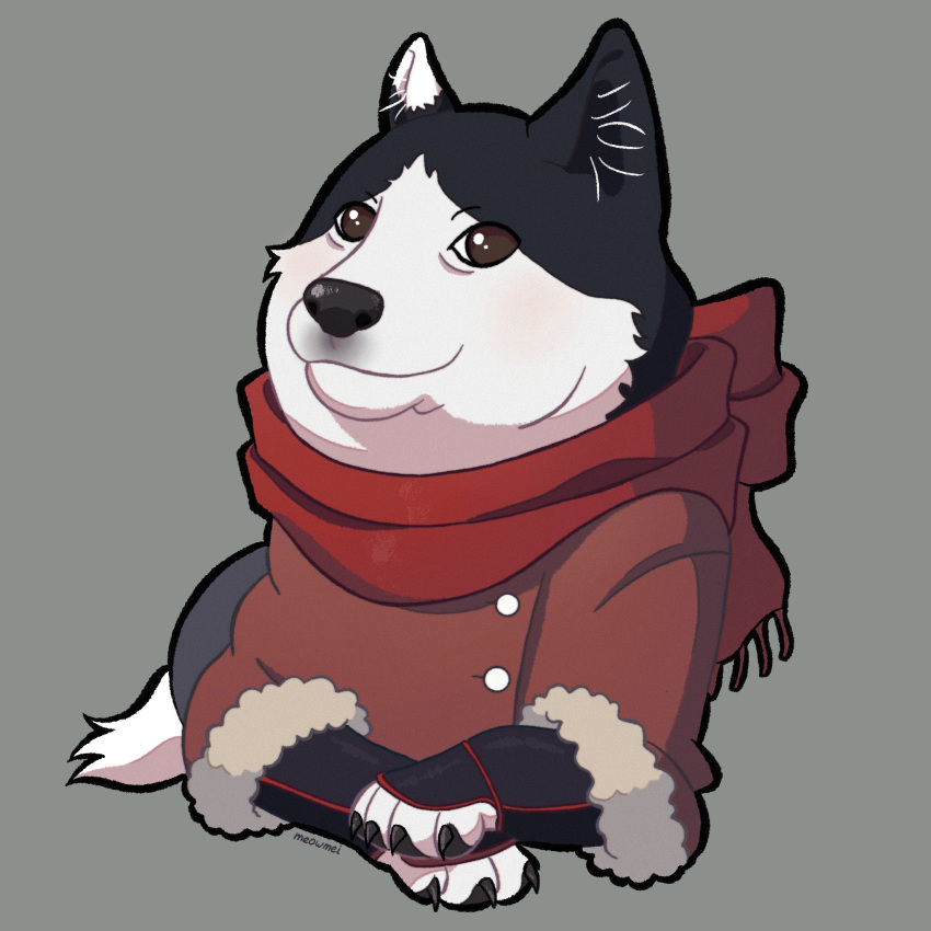 animal, animal_ears, animal_focus, dog, dog_ears, doge, dungeon_meshi, fur_trim, grey_background, highres, izutsumi, meowmei, no_humans, real_life, red_scarf, scarf, shiba_inu, simple_background