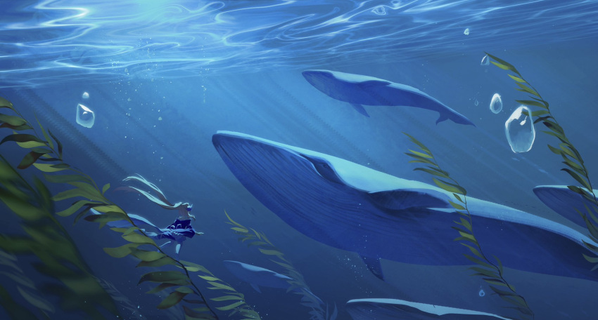 1girl, animal_focus, blue_theme, bubble, day, english_commentary, genshin_impact, highres