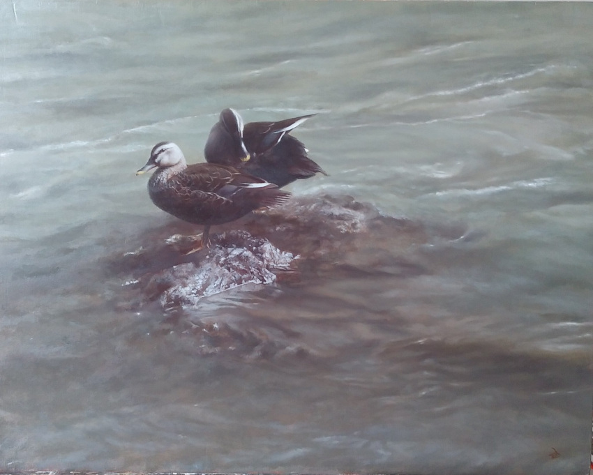 animal, bird, duck, highres, original, painting_(medium), photorealistic, realistic