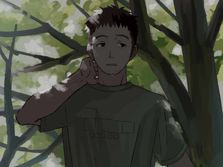 1boy, brown_eyes, brown_hair, dappled_sunlight, facial_hair, frown, goatee_stubble, green_shirt