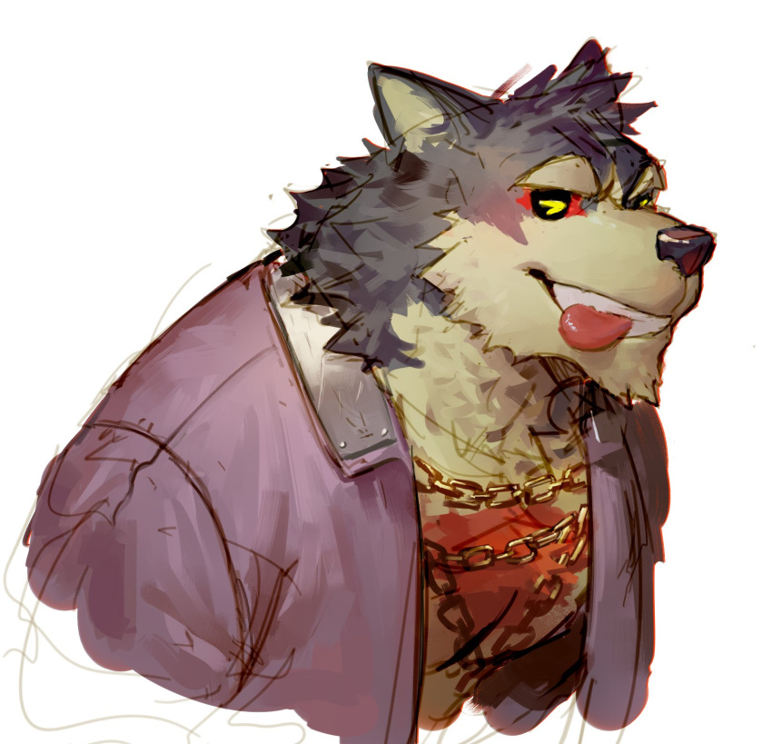 1boy, animal_ears, blush, body_fur, brown_fur, chain, closed_eyes, cropped_torso, dog_boy, dog_ears, furry, furry_male, garmr_(housamo), grey_fur, grin, highres, jacket, male_focus, papyuuno, purple_jacket, simple_background, smile, tokyo_afterschool_summoners, tongue, tongue_out, upper_body, white_background