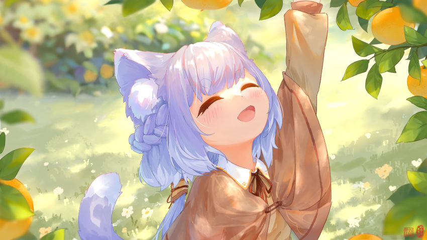 1girl, animal_ear_fluff, animal_ears, blurry, brown_coat, cat_ears, cat_tail, ci_wen_jian_bu_cun_zai