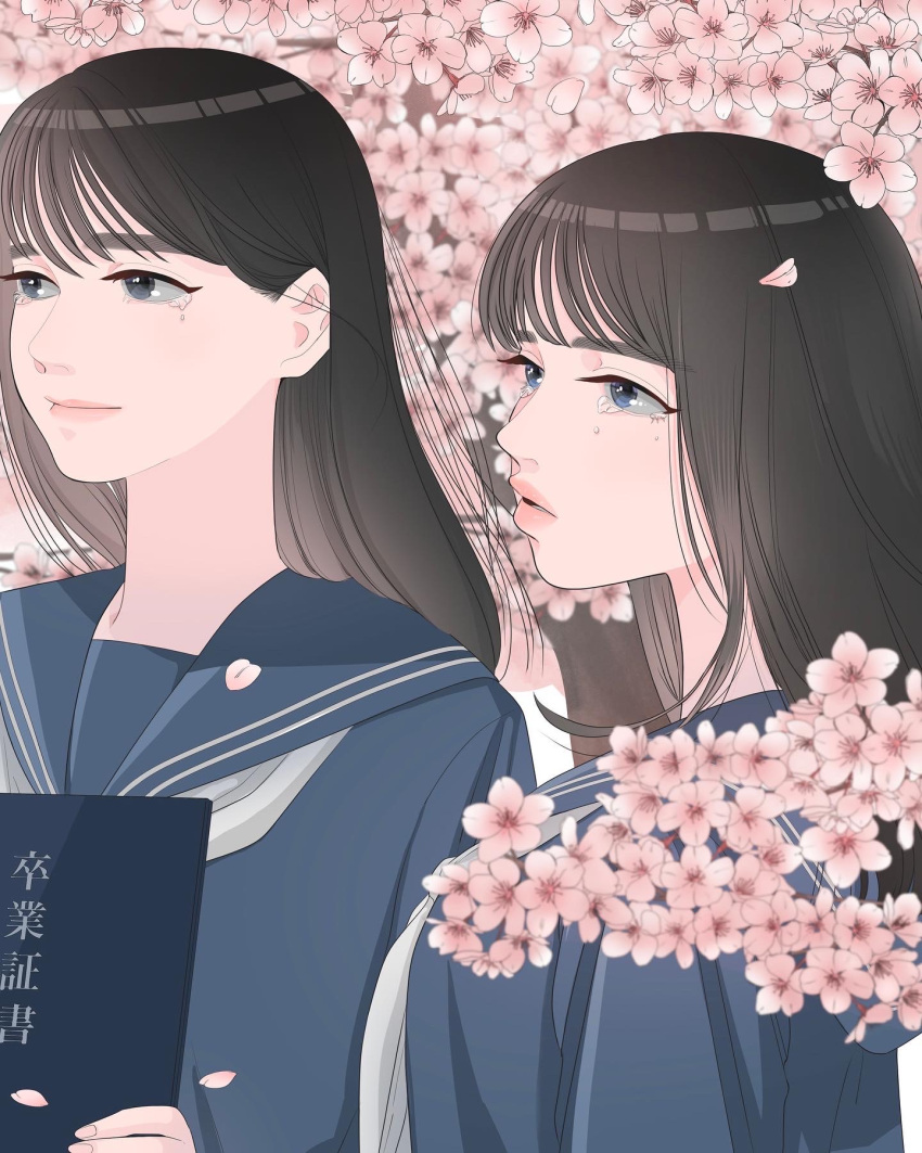 2girls, black_hair, blue_eyes, blue_sailor_collar, blue_shirt, cherry_blossoms, closed_mouth, crying
