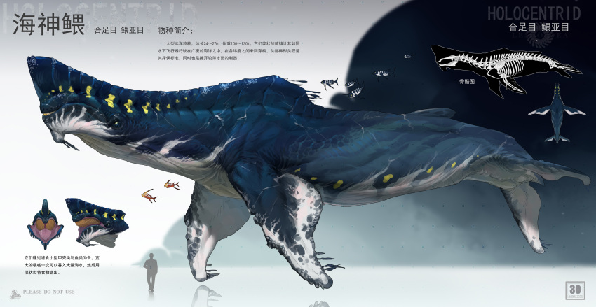 absurdres, animal_focus, chasemakouchi, chinese_text, fins, fish, from_side, full_body, giant, giant_monster, highres, monster, multiple_views, no_humans, open_mouth, original, profile, reference_sheet, scar, sea_monster, silhouette, size_comparison, skeleton, translation_request
