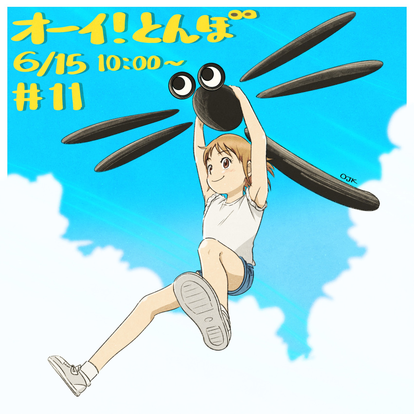1girl, absurdres, blue_sky, brown_hair, bug, dragonfly, episode_number, flying