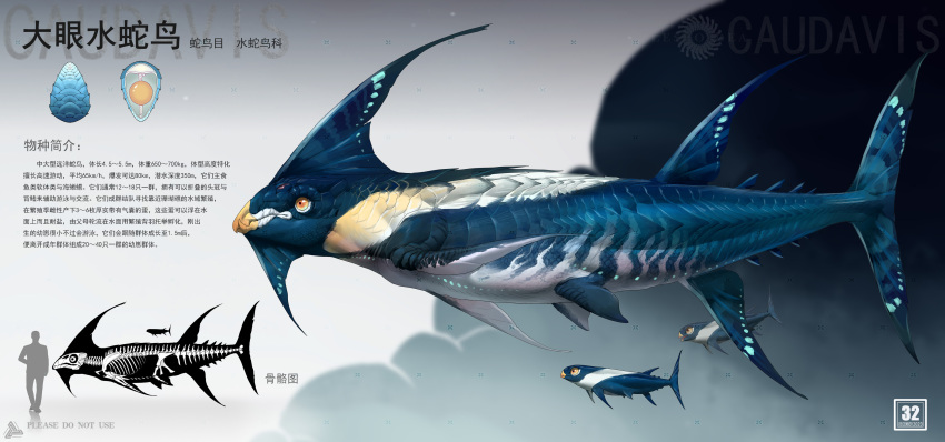 absurdres, animal_focus, chasemakouchi, chinese_commentary, chinese_text, commentary_request, fins, from_side