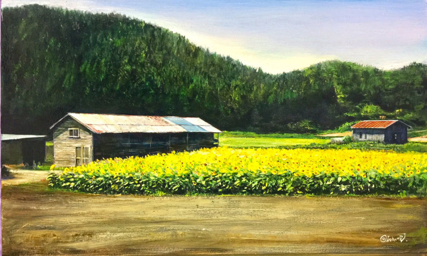 barn, building, day, farm, field, flower, flower_field, highres