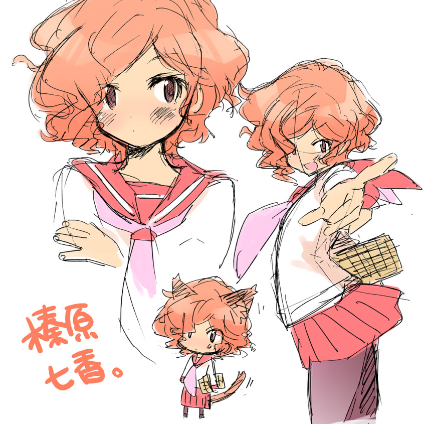 bad_id, cat_ears, cat_tail, chibi, haibara_nanaka, kami_nomi_zo_shiru_sekai, messy_hair, midori_kouichi