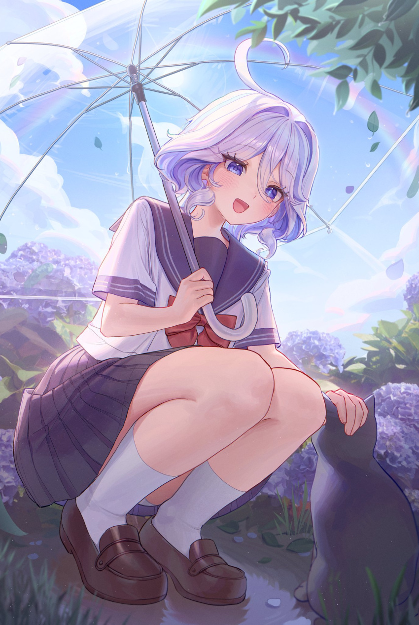1girl, :d, alternate_costume, black_cat, blue_eyes, blue_skirt, blue_sky, blush, brown_footwear, cat, chabi009, clouds, cowlick, day, flower, from_below, full_body, furina_(genshin_impact), genshin_impact, headpat, highres, holding, holding_umbrella, hydrangea, looking_at_animal, neckerchief, open_mouth, patting, purple_flower, rainbow, red_neckerchief, school_uniform, shirt, short_hair, skirt, sky, smile, socks, solo, squatting, sun, transparent, transparent_umbrella, umbrella, umbrella_over_shoulder, wavy_hair, white_hair, white_shirt, white_socks
