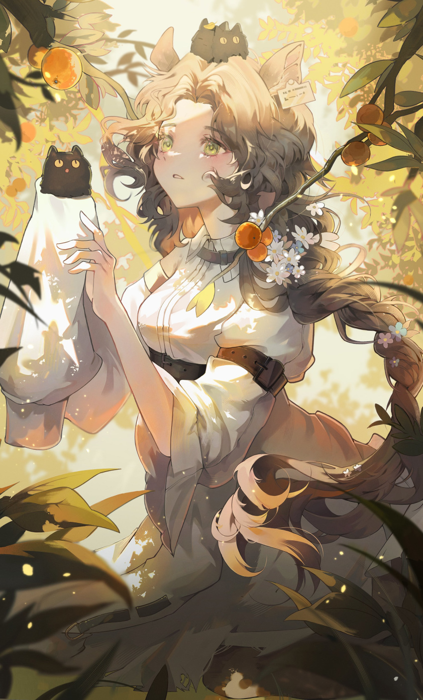 1girl, absurdres, animal_ears, asymmetrical_sleeves, braid, braided_ponytail, brown_hair, carbuncle_(reverse:1999)