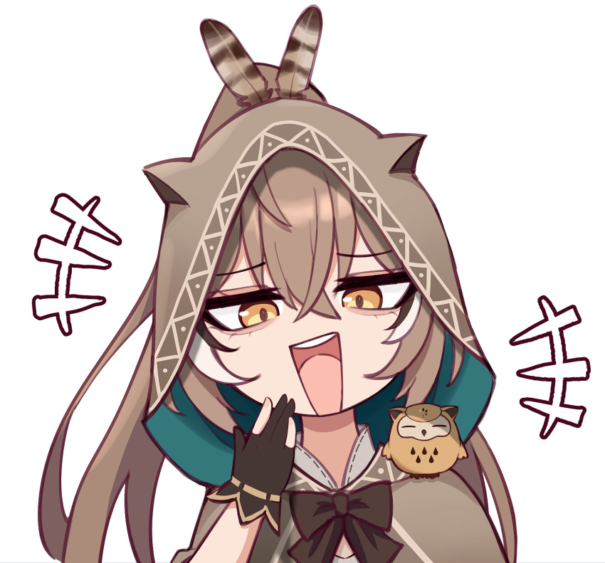 1girl, ahoge, animal_on_shoulder, black_gloves, black_hair, brown_cloak, brown_hair, brown_hood
